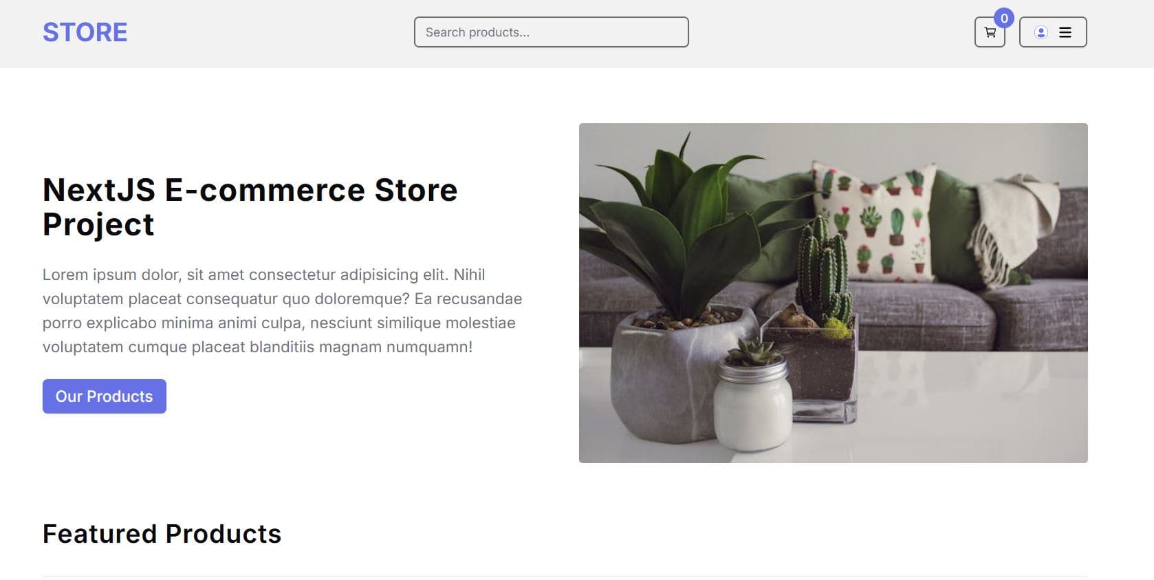 Next.js E-commerce Store Project